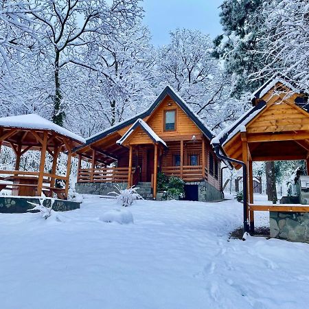 Brvnara Vrsac Βίλα Εξωτερικό φωτογραφία
