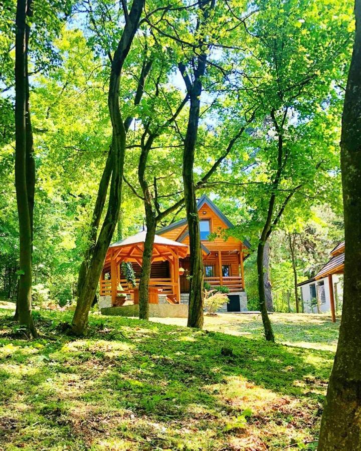 Brvnara Vrsac Βίλα Εξωτερικό φωτογραφία