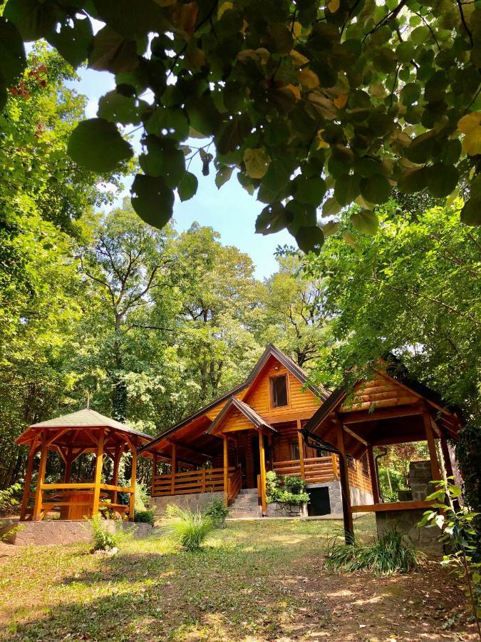 Brvnara Vrsac Βίλα Εξωτερικό φωτογραφία