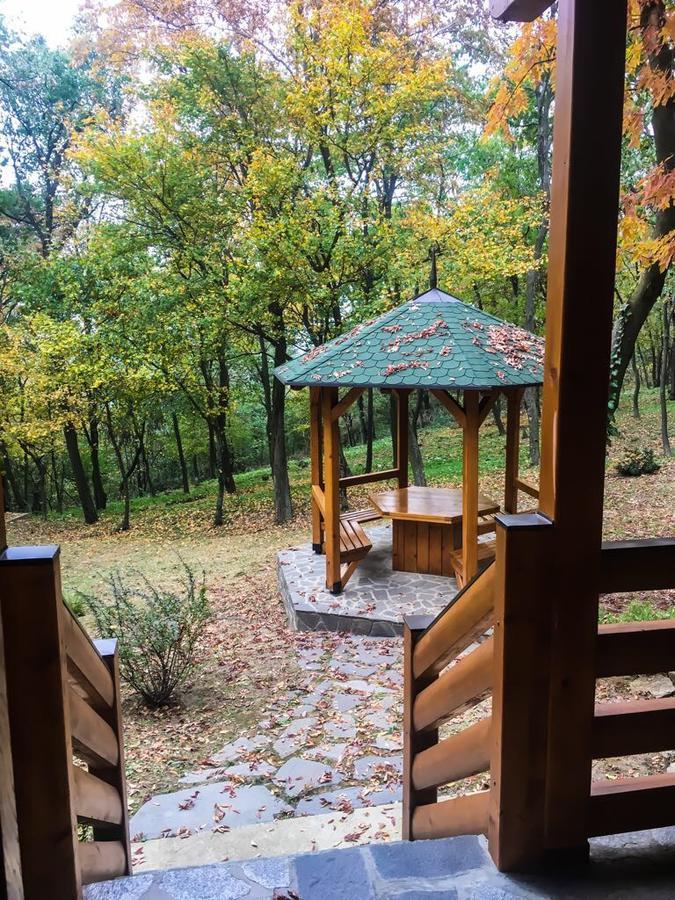 Brvnara Vrsac Βίλα Εξωτερικό φωτογραφία