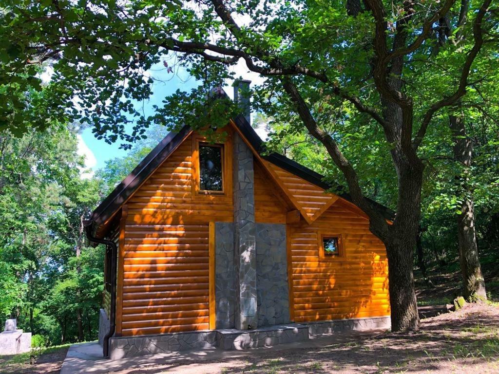 Brvnara Vrsac Βίλα Εξωτερικό φωτογραφία