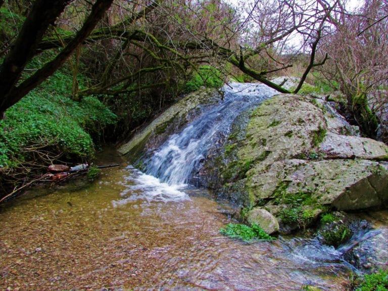 Brvnara Vrsac Βίλα Εξωτερικό φωτογραφία