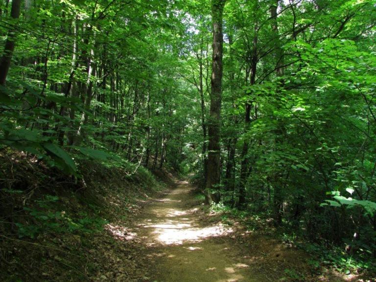 Brvnara Vrsac Βίλα Εξωτερικό φωτογραφία